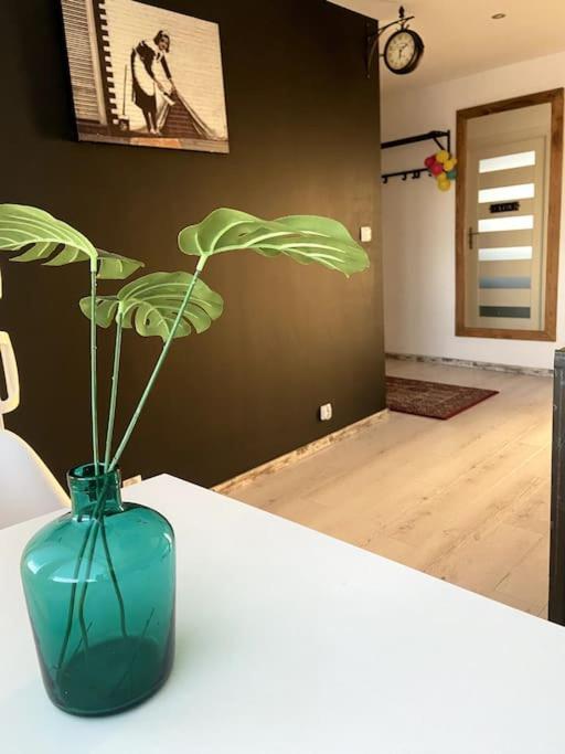 San Riverbank Apartment Przemysl Ngoại thất bức ảnh